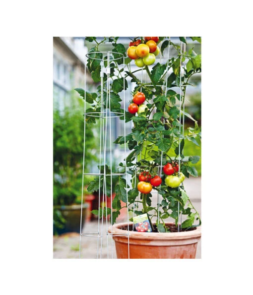 Bellissa Tomatenturm -Freien Garten Rabatt Geschäft 1227982 WE MO 001 Tomatenturm120CmHoch