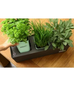 GREENBAR® Kräuterkasten, Ca. B48/H15,5/T16 Cm -Freien Garten Rabatt Geschäft 20150713 338 greenbar steps 4 studio herzig