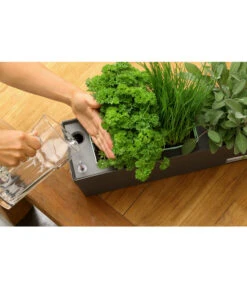 GREENBAR® Kräuterkasten, Ca. B48/H15,5/T16 Cm -Freien Garten Rabatt Geschäft 20150713 347 greenbar steps 5 studio herzig