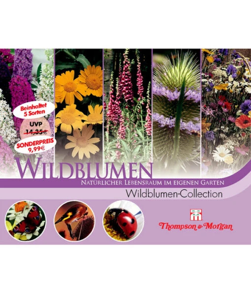 Thompson & Morgan Samen 'Wildblumen-Collection' -Freien Garten Rabatt Geschäft 2531705 WE FS 001 ThompsonMorganWildblumenCollection