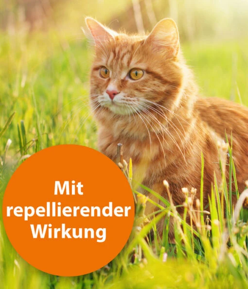 ARDAP® Zecken- Und Flohschutz Spot-On Für Katzen Bis 4 Kg, 3 X 0,4 Ml -Freien Garten Rabatt Geschäft 2599249 WE DE 002 ArdapQuikoKZbhSpotOn4kg