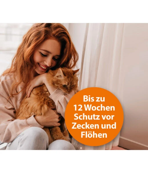 ARDAP® Zecken- Und Flohschutz Spot-On Für Katzen Bis 4 Kg, 3 X 0,4 Ml -Freien Garten Rabatt Geschäft 2599249 WE DE 003 ArdapQuikoKZbhSpotOn4kg