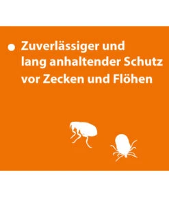 ARDAP® Zecken- Und Flohschutz Spot-On Für Katzen Bis 4 Kg, 3 X 0,4 Ml -Freien Garten Rabatt Geschäft 2599249 WE DE 004 ArdapQuikoKZbhSpotOn4kg