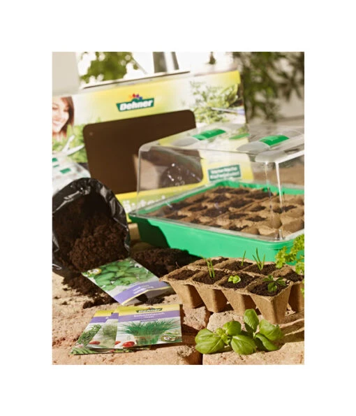 Dehner Kräuterhaus Komplett-Set -Freien Garten Rabatt Geschäft 2884138 BildM 001 DehnerKraeuterhausKraeuterhausKomplett