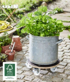 Wagner Pflanzroller MaxiGrip, Ø 38 Cm -Freien Garten Rabatt Geschäft 3519485 WE MO 002 MULTIROLLERMAXIGRIP