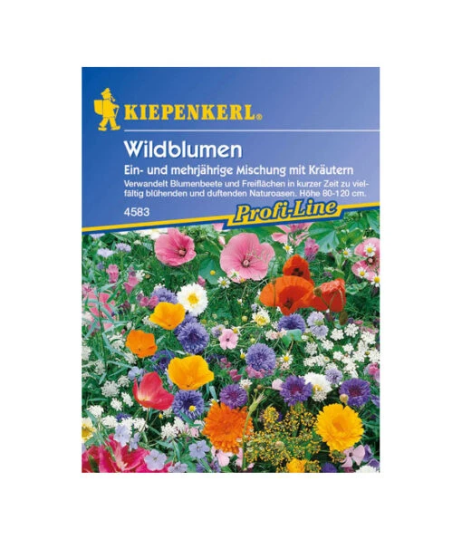 Wildblumen Mit Kräutern Mix, Saatgut Von Kiepenkerl -Freien Garten Rabatt Geschäft 3730538 WE FS 001 WildblumenMischungmitKraeuternGP