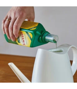 Seramis Vitalnahrung Für Grünpflanzen Und Palmen, 500 Ml -Freien Garten Rabatt Geschäft 398818 WE MO 001 SeramisGruenpflanzenPalmenDuenger500ml