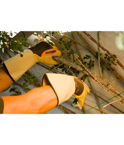 Rosenhandschuh Roncier -Freien Garten Rabatt Geschäft 4097648 4097655 4097663 WE MO 001 HandschuheGartenhandschuheRosenhandschuhe