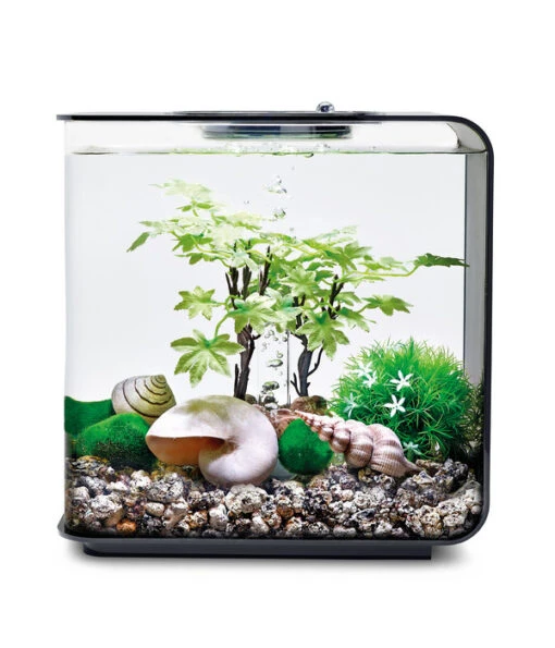 BiOrb® Aquariumdeko Decor Set 15 L Sommer -Freien Garten Rabatt Geschäft 4163861 WE M 001 BiOrbAquariumdekoDecorSet15LSommer