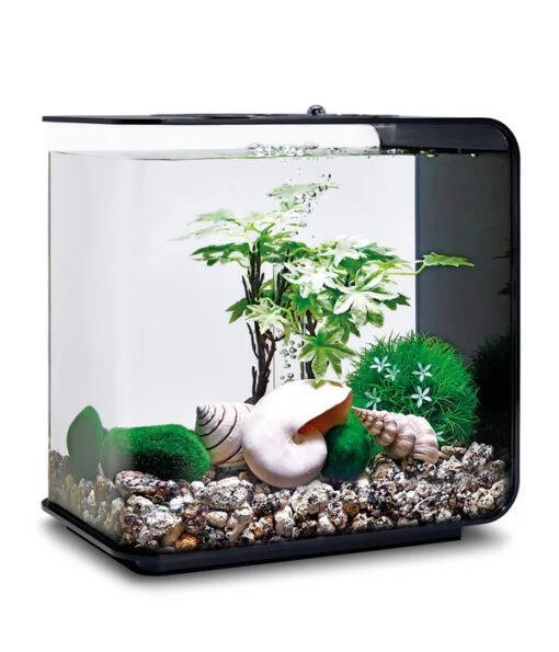 BiOrb® Aquariumdeko Decor Set 15 L Sommer -Freien Garten Rabatt Geschäft 4163861 WE M 002 BiOrbAquariumdekoDecorSet15LSommer