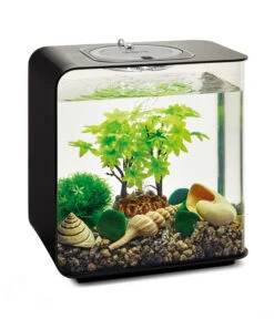 BiOrb® Aquariumdeko Decor Set 15 L Sommer -Freien Garten Rabatt Geschäft 4163861 WE M 003 BiOrbAquariumdekoDecorSet15LSommer