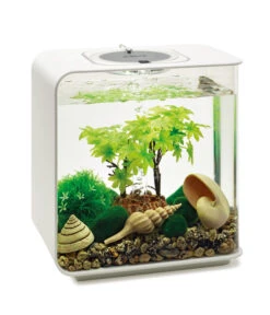 BiOrb® Aquariumdeko Decor Set 15 L Sommer -Freien Garten Rabatt Geschäft 4163861 WE M 004 BiOrbAquariumdekoDecorSet15LSommer