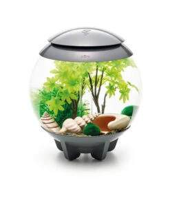 BiOrb® Aquariumdeko Decor Set 15 L Sommer -Freien Garten Rabatt Geschäft 4163861 WE M 005 BiOrbAquariumdekoDecorSet15LSommer