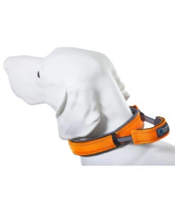 ArmoredTech® Hundehalsband Dog Control, Orange -Freien Garten Rabatt Geschäft 4203048 4203436 4204335 WE D 002 AmoredTechHundehalsbandDogControlOrangeM