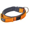 ArmoredTech® Hundehalsband Dog Control, Orange -Freien Garten Rabatt Geschäft 4203048 4203436 4204335 WE FS 001 AmoredTechHundehalsbandDogControlOrangeM