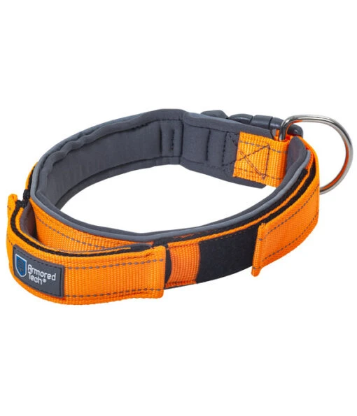 ArmoredTech® Hundehalsband Dog Control, Orange -Freien Garten Rabatt Geschäft 4203048 4203436 4204335 WE FS 001 AmoredTechHundehalsbandDogControlOrangeM