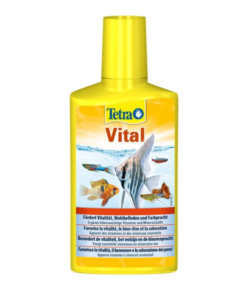 Tetra Aquarienwasserpflege TetraVital -Freien Garten Rabatt Geschäft 4348389 WE FS 001 TetraFischeVital250ml