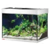 EHEIM Aquarium ProximaTEC 175 -Freien Garten Rabatt Geschäft 4428967 WE FS 001 EheimAquariumAQSetProximaTec175