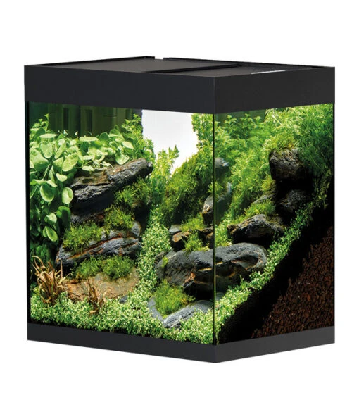 Oase Aquarium StyleLine 85 -Freien Garten Rabatt Geschäft 4430534 WE FS 001 OaseAquariumStyleLine85Schwarz