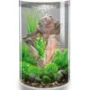 BiOrb® Aquarium TUBE 30 MCR -Freien Garten Rabatt Geschäft 4430898 WE FS 001 BiorbAquariumTube30LEDWeiss