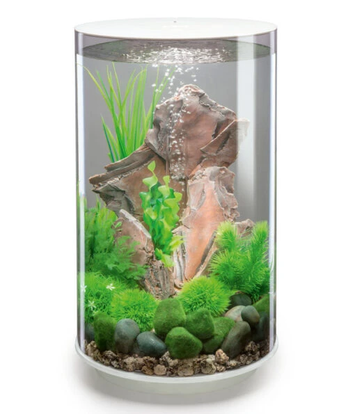 BiOrb® Aquarium TUBE 30 MCR -Freien Garten Rabatt Geschäft 4430898 WE FS 001 BiorbAquariumTube30LEDWeiss