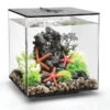 BiOrb® Aquarium CUBE 30 MCR -Freien Garten Rabatt Geschäft 4431078 WE FS 001 OaseAquariumBiorbCube30MCRSchwarz