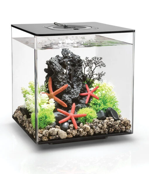 BiOrb® Aquarium CUBE 30 MCR -Freien Garten Rabatt Geschäft 4431078 WE FS 001 OaseAquariumBiorbCube30MCRSchwarz