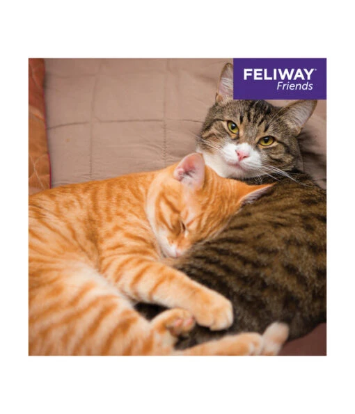 FELIWAY® Friends Nachfüllflakon, 3er Set -Freien Garten Rabatt Geschäft 4477311 4477329 WE D 008 CevaFeliwayFriends