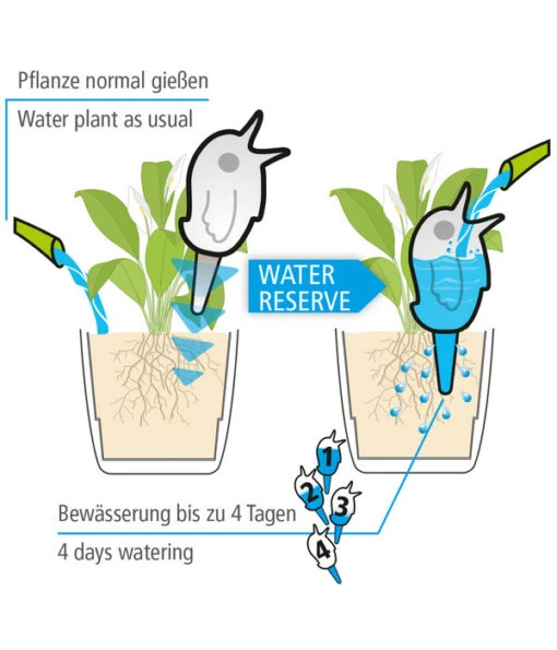 Scheurich Wasserspeicher Bördy XL -Freien Garten Rabatt Geschäft 5124235 BildFS 001 boedyErklaerung