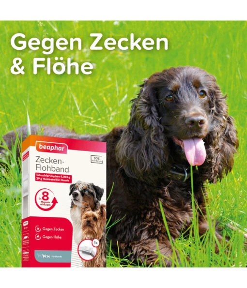 Beaphar Zecken-Flohband, 60 Cm -Freien Garten Rabatt Geschäft 532283 WE DE 001 BeaHZbhZeckenFlohbandHund