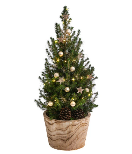 Geschmückter Weihnachtsbaum Loxley, Mit Lichterkette, Ca. H70 Cm -Freien Garten Rabatt Geschäft