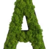 StyleGREEN Buchstaben Aus Islandmoos, Ca. H25 Cm -Freien Garten Rabatt Geschäft 6429435 WE FS 001 BuchstabeIslandmoosA