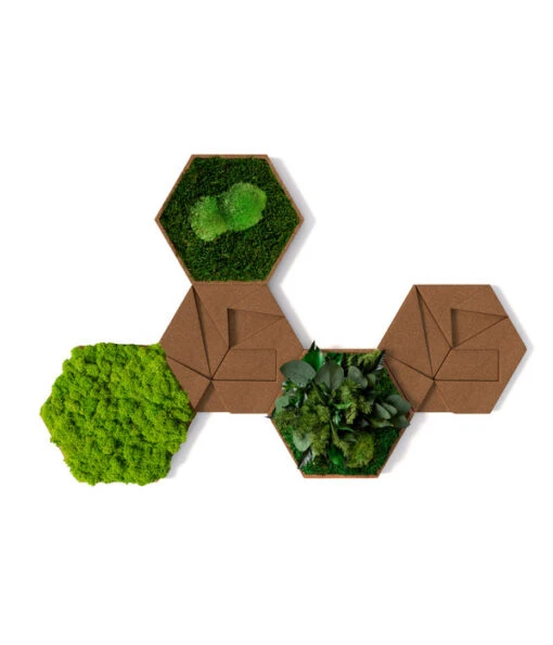 StyleGREEN Bilder-Set Aus Moos Und Kork, Hexagon, 5-teilig -Freien Garten Rabatt Geschäft