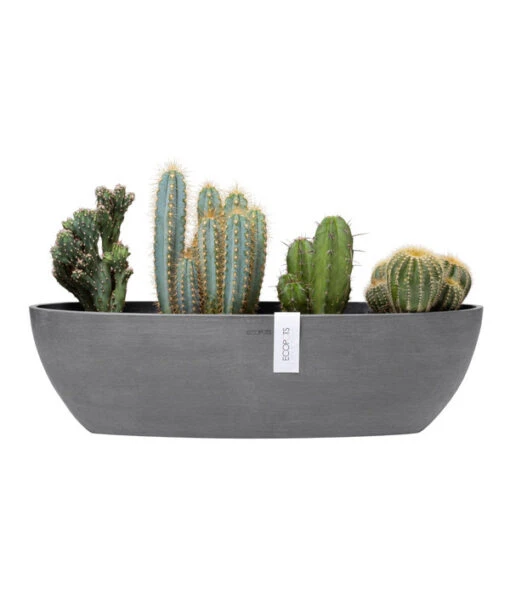 Ecopots Kunststoff-Schale Sofia Mit Wassersystem, Oval, Ca. B56/H16/T14 Cm -Freien Garten Rabatt Geschäft 6614580 WE FS 002 EcopotsKunststoffSchaleSofialangmitWassersystemoval