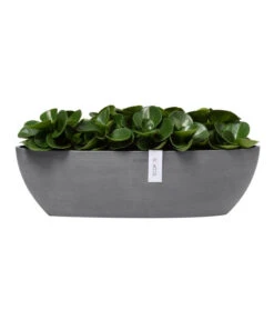 Ecopots Kunststoff-Schale Sofia Mit Wassersystem, Oval, Ca. B56/H16/T14 Cm -Freien Garten Rabatt Geschäft 6614580 WE FS 003 EcopotsKunststoffSchaleSofialangmitWassersystemoval