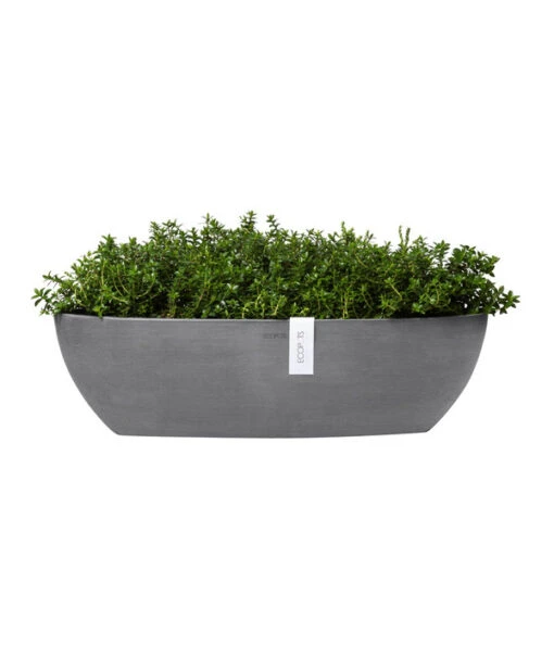 Ecopots Kunststoff-Schale Sofia Mit Wassersystem, Oval, Ca. B56/H16/T14 Cm -Freien Garten Rabatt Geschäft 6614580 WE FS 004 EcopotsKunststoffSchaleSofialangmitWassersystemoval