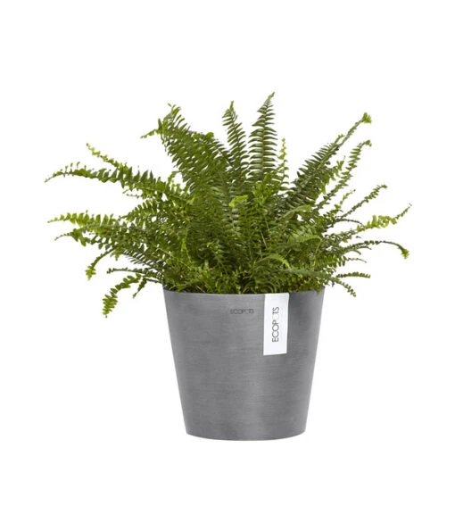 Ecopots Kunststoff-Topf Amsterdam Wall, Rund, Grau, Ca. Ø21,8/H17,5 Cm -Freien Garten Rabatt Geschäft 6614887 WE FS 002 EcopotsKunststoffTopfAmsterdamWallrundgrau