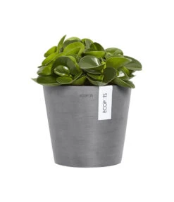 Ecopots Kunststoff-Topf Amsterdam Wall, Rund, Grau, Ca. Ø21,8/H17,5 Cm -Freien Garten Rabatt Geschäft 6614887 WE FS 003 EcopotsKunststoffTopfAmsterdamWallrundgrau