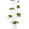 Gusta Garden Erdbeerbaum Sissi Strawberry Hanging, Ca. B27/H77/T27 Cm -Freien Garten Rabatt Geschäft 6627038 WE FS 001 SissiStrawberry