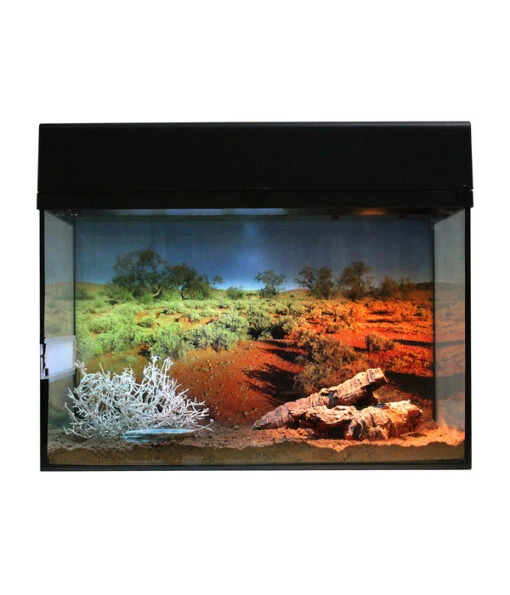 Lucky Reptile Terrarium Starter Kit Wüstengecko, Ca. B50/H40/T28 Cm -Freien Garten Rabatt Geschäft 6662027 WE FS 001 LuRepStarterKitWuestengeckoSW