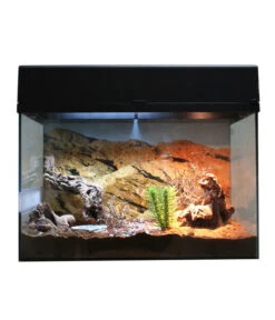 Lucky Reptile Terrarium Starter Kit Wüstengecko, Ca. B50/H40/T28 Cm -Freien Garten Rabatt Geschäft 6662027 WE FS 003 LuRepStarterKitWuestengeckoSW