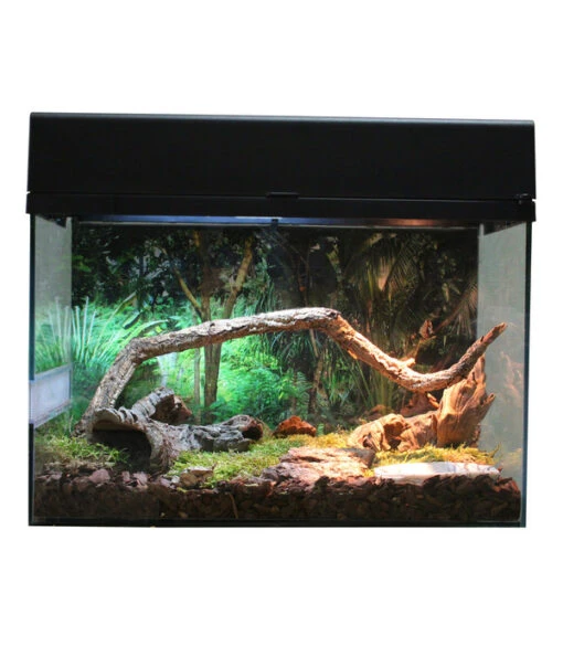 Lucky Reptile Terrarium Starter Kit Wüstengecko, Ca. B50/H40/T28 Cm -Freien Garten Rabatt Geschäft 6662027 WE FS 004 LuRepStarterKitWuestengeckoSW