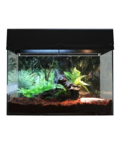 Lucky Reptile Terrarium Starter Kit Wüstengecko, Ca. B50/H40/T28 Cm -Freien Garten Rabatt Geschäft 6662027 WE FS 005 LuRepStarterKitWuestengeckoSW