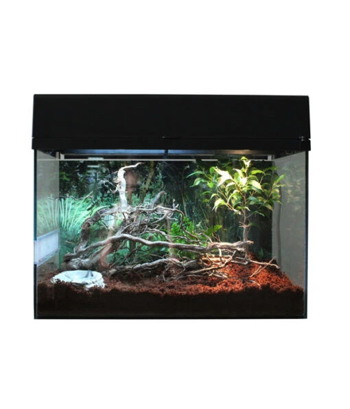 Lucky Reptile Terrarium Starter Kit Wüstengecko, Ca. B50/H40/T28 Cm -Freien Garten Rabatt Geschäft 6662027 WE FS 006 LuRepStarterKitWuestengeckoSW