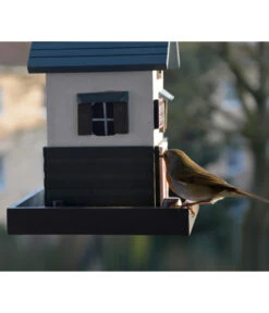 Dobar® Wildlife Vogelhaus School, Kiefer, Schwarz/weiß, Ca. B18/H23/T18 Cm -Freien Garten Rabatt Geschäft 6689574 WE MO 001 DobarWVWesternVogelhausSchool