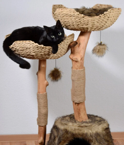 Dobar Petlife Design-Katzenmöbel Tony, Ca. B60/H111/T45 Cm -Freien Garten Rabatt Geschäft 6689756 WE MO 002 DobarKatzenKratzbaumTony