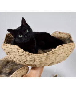 Dobar Petlife Design-Katzenmöbel Tony, Ca. B60/H111/T45 Cm -Freien Garten Rabatt Geschäft 6689756 WE MO 003 DobarKatzenKratzbaumTony