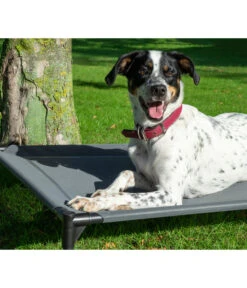 Dobar Petlife Outdoor-Hundeliege, Inkl. Sonnendach, Ca. B89,5/H86/T80 Cm -Freien Garten Rabatt Geschäft 6689806 WE MO 003 DobarHundeOutdoorLiege