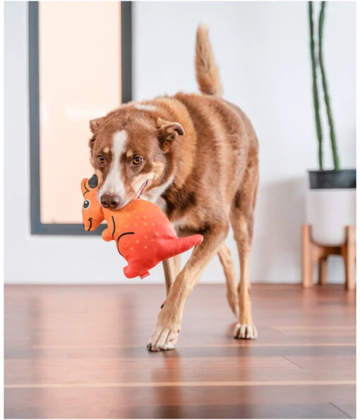 Red Dingo Hundespielzeug DURABLES Toys Känguru -Freien Garten Rabatt Geschäft 6912398 WE MO 002 RedDingoSpzKanguru