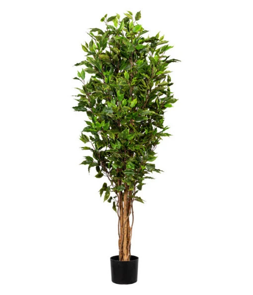 Gasper Kunstpflanze Ficus Benjamini, Ca. H150 Cm -Freien Garten Rabatt Geschäft 6934590 WE FS 001 FicusBenjaminiH150cm